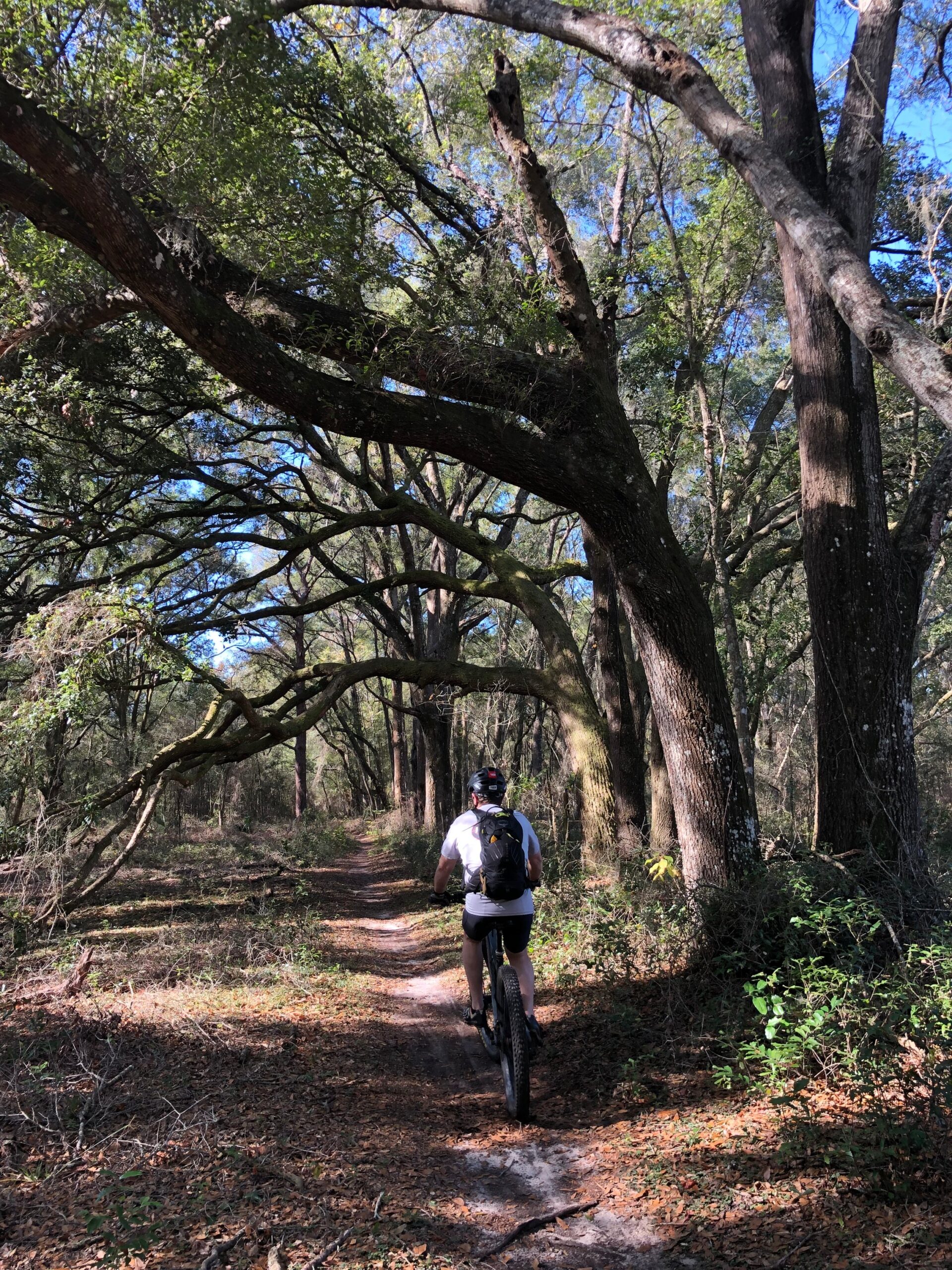 Riding Cycle in florida